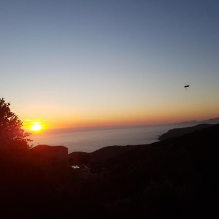Villa Confina Villanova Εξωτερικό φωτογραφία