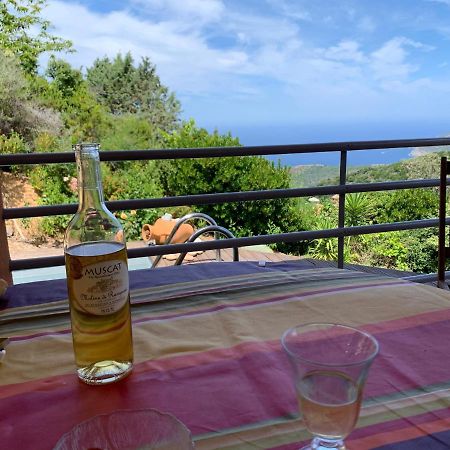 Villa Confina Villanova Εξωτερικό φωτογραφία