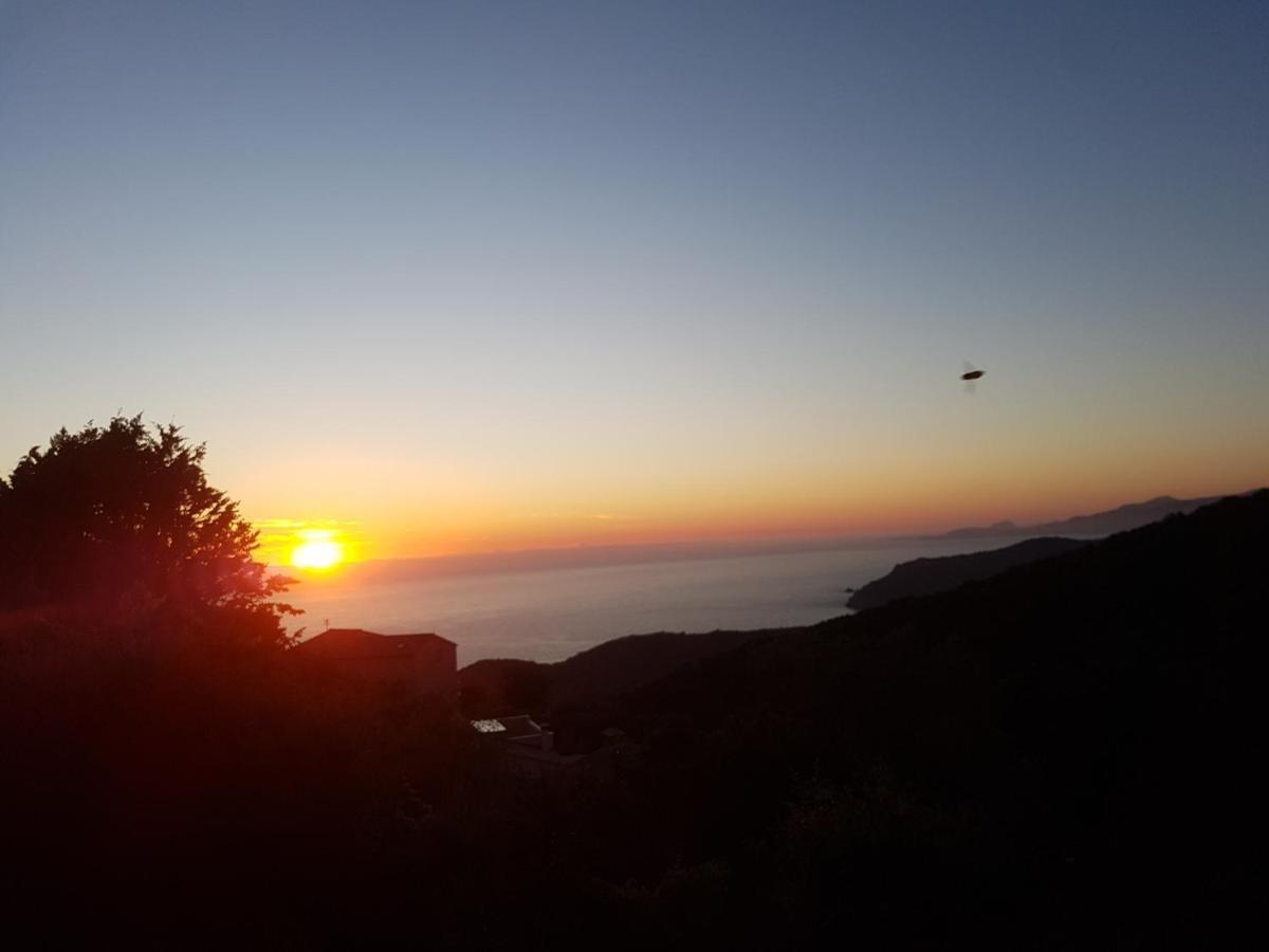 Villa Confina Villanova Εξωτερικό φωτογραφία